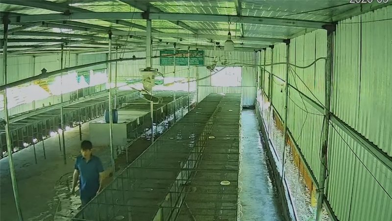 Vượt Hàng Ngàn Cây Số: