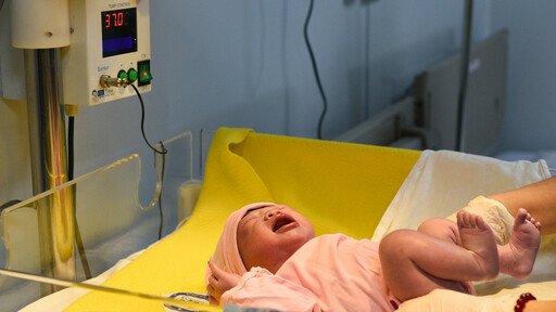 DÂN SỐ VIỆT NAM 2019