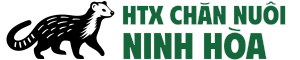 Ninh Hoa Cooperative – Standardized Protocols, Sustained Prosperity.