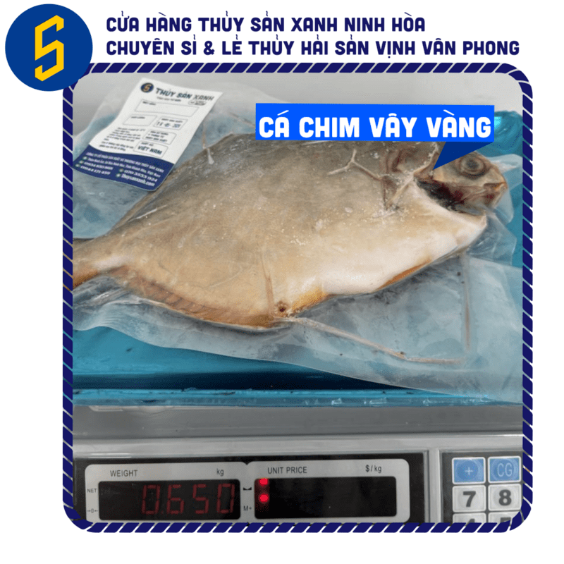 Mua Cá Chim Trắng Vây Vàng Làm Sạch, Hút Chân Không Tiện Lợi | Thủy Sản Xanh 1