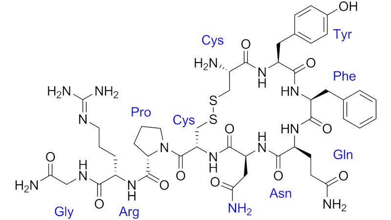 Vasopressin: 