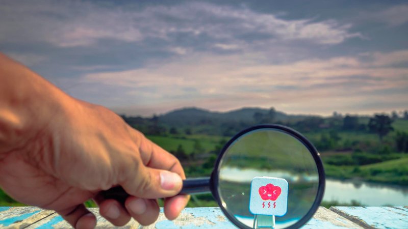 Search Engine Optimization