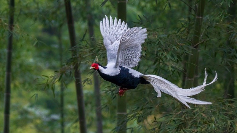 TƯ DUY NGUYÊN BẢN: KINH DOANH NHÓM II (A,B)