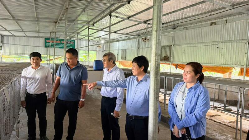 Lãnh Đạo Sở Nông Nghiệp và Môi Trường Thăm Trại Chồn Hương Suối Sâu