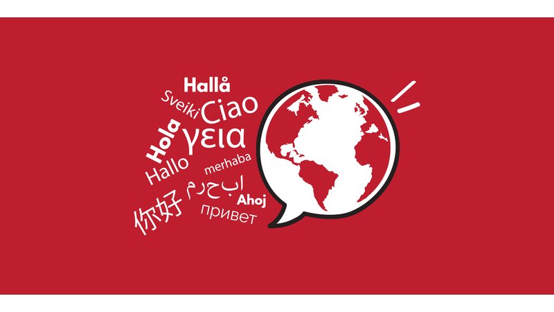 Is Your Monolingual Website Costing You Global Logistics Contracts in Khanh Hoa?