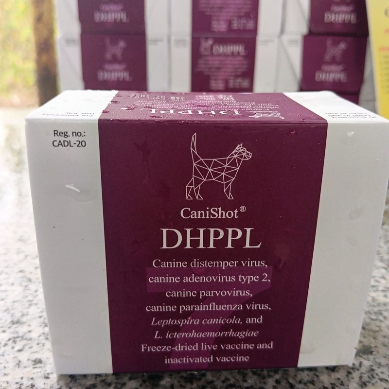 Vắc xin Canishot DHPPL