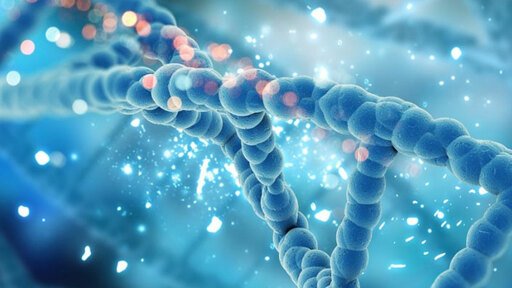 CÔNG TY DỊCH VỤ THÁM TỬ XÉT NGHIỆM ADN, ĐIỀU TRA NHÂN THÂN