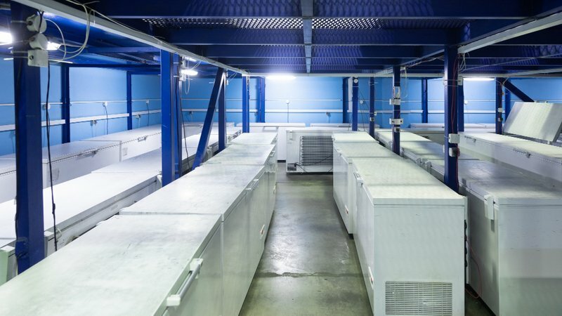 XRP AIR TECH: Premium HVAC & Commercial Refrigeration Solutions in Houston, Texas