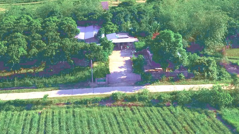 Khanh Hoa Civet Products: Premium Standards and Sustainable Agricultural Excellence