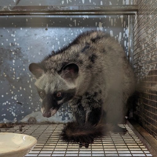 CHỒN HƯƠNG KHÁNH HÒA: TUYỆT PHẨM ẨM THỰC