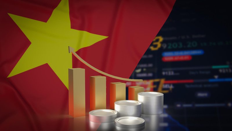 Đường Vươn Mình Của Khối SMEs Việt: Đã Đến Lúc Ngừng Vá Lỗi Giao Diện Để Tái Cấu Trúc Lõi Đa Ngữ