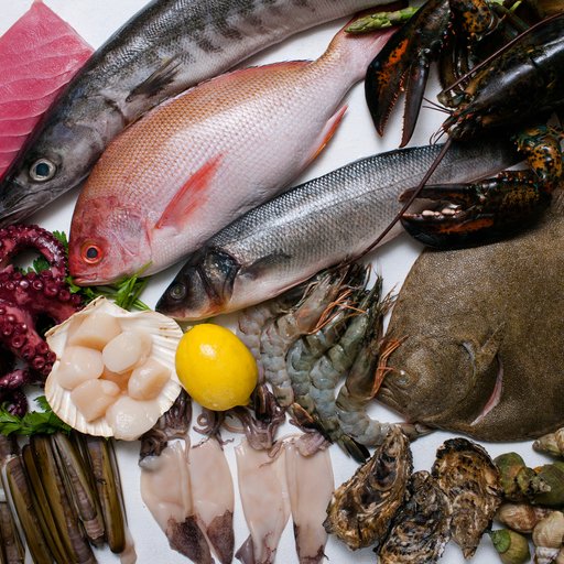 THỦY SẢN XANH: ĐỐI TÁC CHIẾN LƯỢC NÂNG TẦM ẨM THỰC NHÀ HÀNG